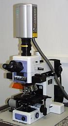 Microscópio Confocal A iluminação é feita