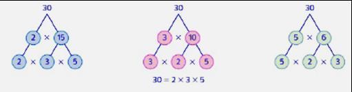 159 Exemplos: a) Fatore o número 30 pelo processo das fatorações sucessivas. b) Fatore o número 140 pelo processo das divisões sucessivas. c) Determinar o menor fator primo de um número dado.