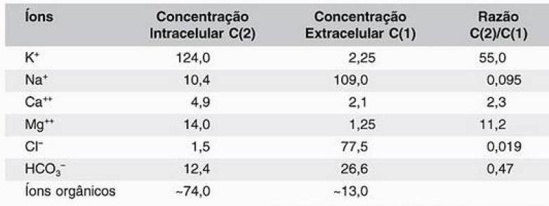 Prevenção da polispermia Concentração de íons em uma célula muscular de rã em