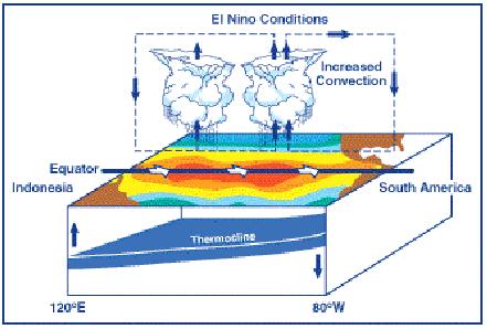 EL NIÑO OSCILAÇÃO SUL (ENOS) O El Niño ocorre devido ao enfraquecimento e posterior inversão na direção dos ventos alísios, que permitem novamente o aquecimento das águas do Pacífico central e leste