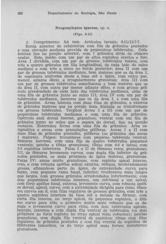 262 Departamento de Zoologia, São Paul o Neogonyleptes ignotus, sp. n. (Figs. 8-11 ) 8. Comprimento : 8,0 mm. Artículos tarsais : 6-11/12-7-7.