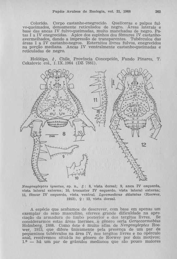 Papéis Avulsos de Zoologia, vol. 21, 1968 263 Colorido. Corpo castanho-enegrecido. Quelíceras e palpos fulvo-queimados, densamente reticulados de negro.