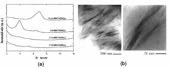 21 Em outro estudo, Kim e colaboradores [6] avaliaram o efeito da modificação da argila sobre as propriedades dos nanocompósitos de NBR/MMT.