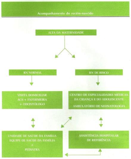 32 ANEXO 03 FLUXOGRAMA DE ACOMPANHAMENTO DO RECÉM-NASCIDO