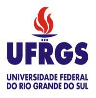 UNIVERSIDADE FEDERAL DO RIO GRANDE DO SUL INSTITUTO DE MATEMÁTICA PROGRAMA DE PÓS-GRADUAÇÃO
