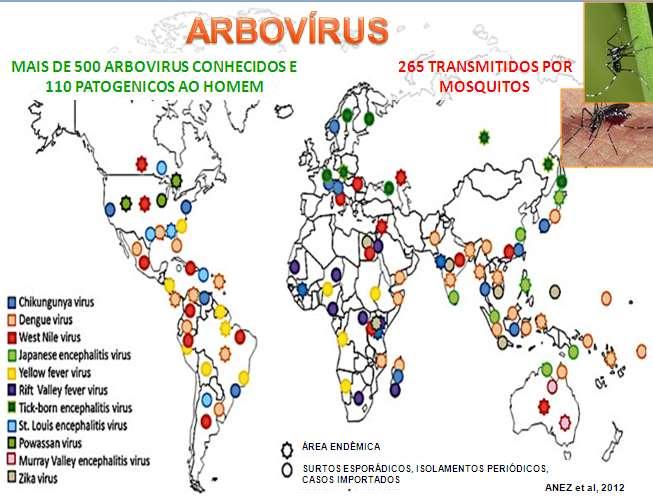Arbovirus (arthropod-born virus) Termo epidemiológico Definição: grupo de vírus, genoma RNA, zoonóticos, transmitidos por artrópodes (mosquitos e carrapatos) 110 causam doença no homem: febres