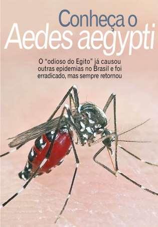 Será que Oswaldo Cruz conseguiria hoje erradicar o Aedes aegypti?