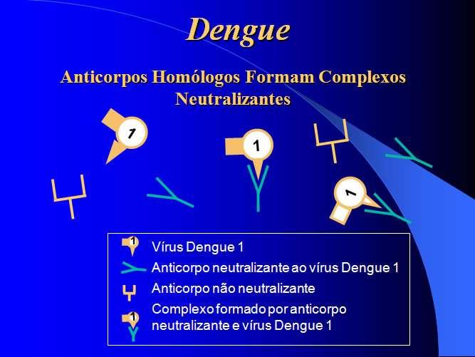 Reinfecção pelo mesmo tipo de vírus dengue Infecção pelo DENV-1 com posterior contato com DENV-1 Anticorpos