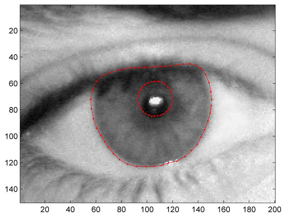pelo fato da íris ser muito escura e existir pouca diferença de contraste entre ela e a pupila. Alguns exemplos de erro na segmentação da pupila são ilustrados na Figura 12.