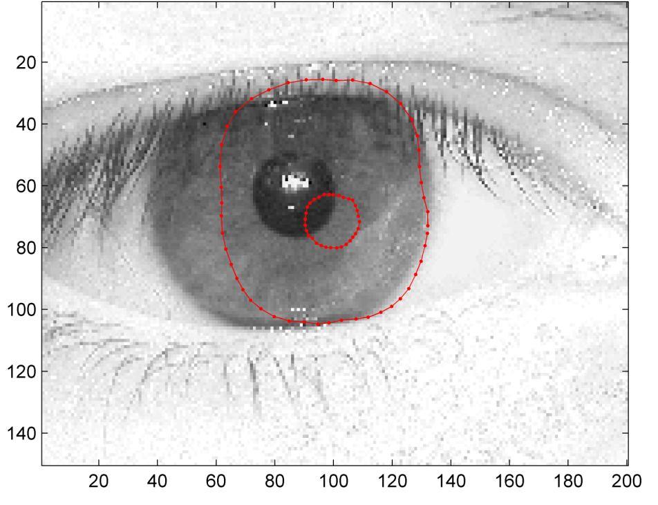 É importante lembrar que, neste trabalho, todo o contorno da região da íris foi representado por uma única curva.