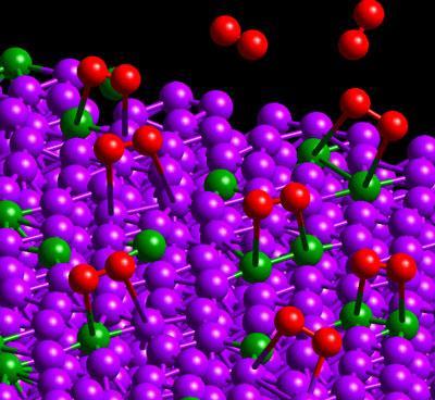 Oxygen molecules (red) adsorb on a bimetallic surface of platinum (purple) and cobalt (green). From P. B. Balbuena, D. ltomare, L. gapito, and J. M.