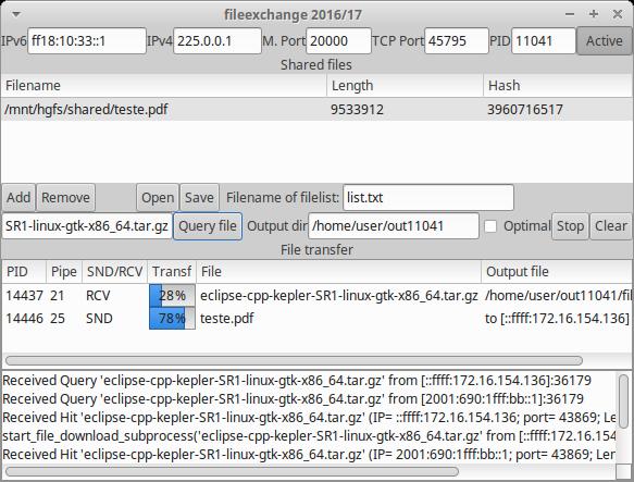 A interface contém uma linha inicial onde se configura os endereços IPv6 e IPv multicast e o número de porto, e onde a aplicação escreve o número de porto onde recebe ligações e o número de processo.