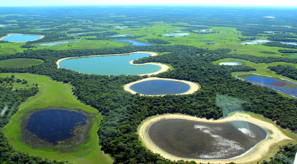 O Pantanal sofre influência direta de três importantes biomas brasileiros: Amazônia, Cerrado e Mata Atlântica.
