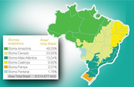 Geografia Os Biomas Brasileiros Prof.