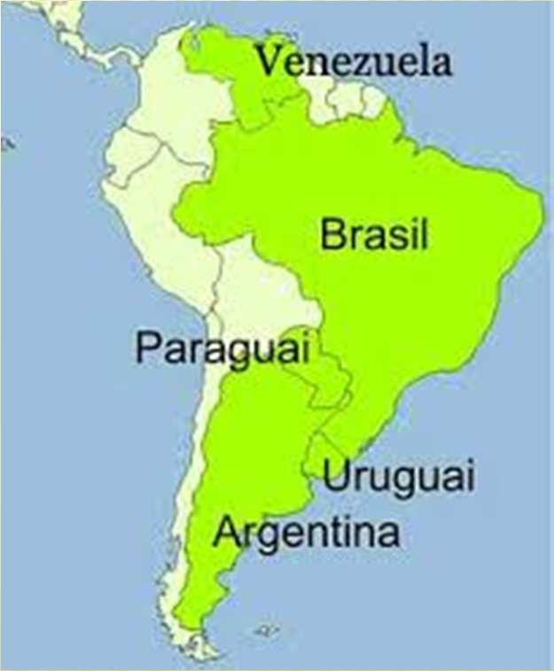 O MERCOSUL Criado em 1991, possui 5 países membros, Brasil, Argentina, Paraguai, Uruguai e Venezuela, todos