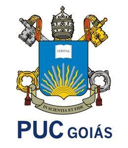 Pontifícia Universidade Católica de Goiás Pró-Reitoria de Graduação Escola de Direito e Relações Internacionais Direito Empresarial Pessoa Jurídica Personalidade jurídica Responsabilidades da