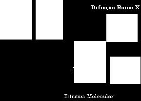 igual ao nº de adeninas e que o nº de guaninas era aproximadamente igual ao de citosinas. A = T e C G Consequentemente a quantidade de: bases púricas = bases pirimídicas.