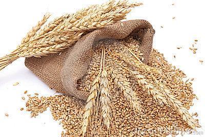 com Conjunto de proteínas (gliadina e glutelina) presentes nos endospermas, dos grãos de trigo,