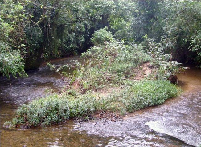 Figura : Ilha fluvial Figura 4: Barra de pontal Figura 5: Barra de atalho Figura 6: Meandro abandonado Ilhas fluviais são formadas por