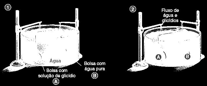 2) Nutrição Vegetal VI) Condução de