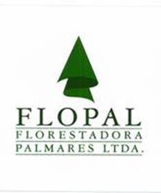 Florestadora Palmares Ltda. Empresa que começou as atividades em 1970, plantando pinus no itoral do Rio Grande do Sul.