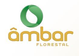 Âmbar Florestal Empresa resineira que começou as atividades em 1997, explorando resina nas florestas da Flopal. Iniciou com 300 mil e hoje trabalha com 4,5 milhões de árvores/ano.