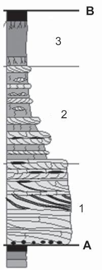 paraconformidade (E) transgressiva 38 Leve em conta a coluna estratigráfica ao lado, de uma sucessão terrígena depositada em paleoambiente de planície de maré, em que: (1) arenitos com estratificação