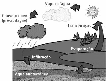 Ciclo da água Água: Solvente Universal No ambiente é muito difícil encontrar água pura, em razão da facilidade com que as outras substâncias se misturam a ela.