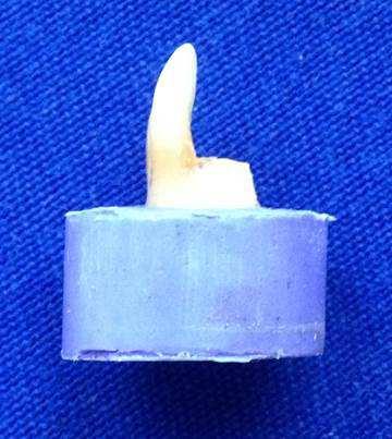 55 Os dentes foram escaneados por aparelho microtomógrafo SkyScan 1172 (Bruker, Kontich, Bélgica), com resolução isotrópica de 13,80µm, 100 KV, rotação no longo eixo de 180, com passo de rotação de