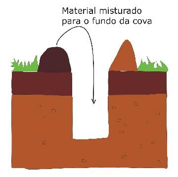 PLANTIO E MANUTENÇÃO DA MUDA O esterco de curral ou adubo orgânico, o calcário dolomíticoe e o gesso deverão ser misturados com a terra que foi retirada da