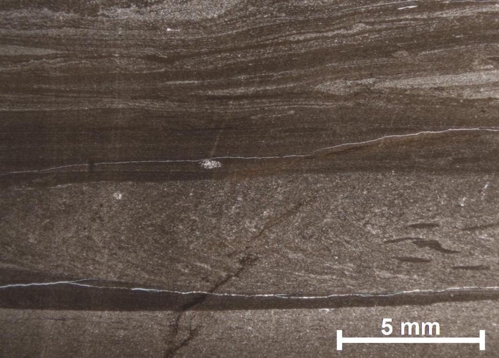 FIGURA 21 Fotomicrografia representando a microfácies M7 (siltito argiloso). Ocorre no perfil da figura 4 referente ao trato de sistema de mar alto.