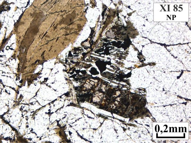 11 - (a) a (d) Intercrescimento de biotita e quartzo próximo ao piroxênio
