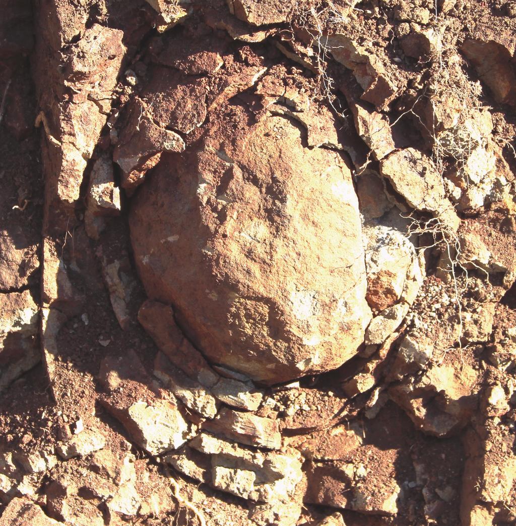 Fig. 3.3 Blocos esfoliados de basalto.