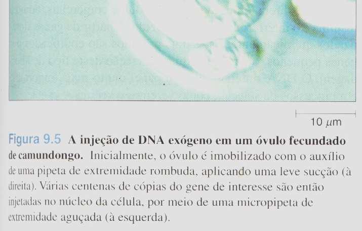 de DNA