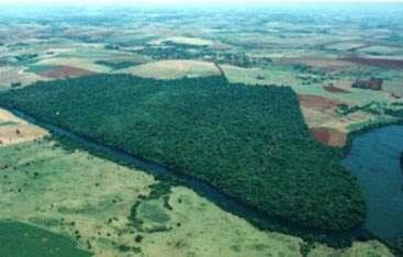 Figura 02 Vista aérea do PEVRES evidenciando que seu limite se dá por área de cultivo e pelos rios Ivaí e Corumbataí.