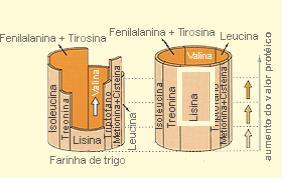 4.1. Formulação das dietas Fechar com ingrediente proteico: FARELO DE SOJA Aminoácido Industrial L-Triptofano