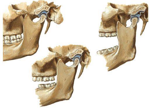 Durante a mastigação, quando os dentes trituram o alimento, ocorre um movimento da posição lateral para a linha mediana.