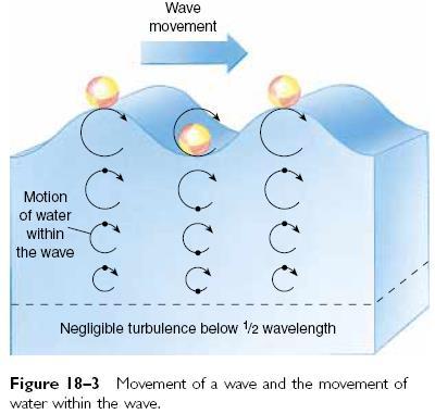 FORÇAS MARINHAS ATUANTES NO LITORAL As ondas, marés e correntes constituem as principais forças atuantes na morfogênese litorânea a) ONDAS: