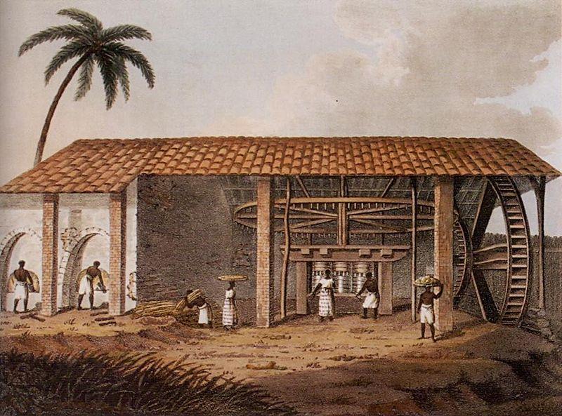 Cana de Açúcar: grande propriedade e trabalho escravo Imagem: Engenho de