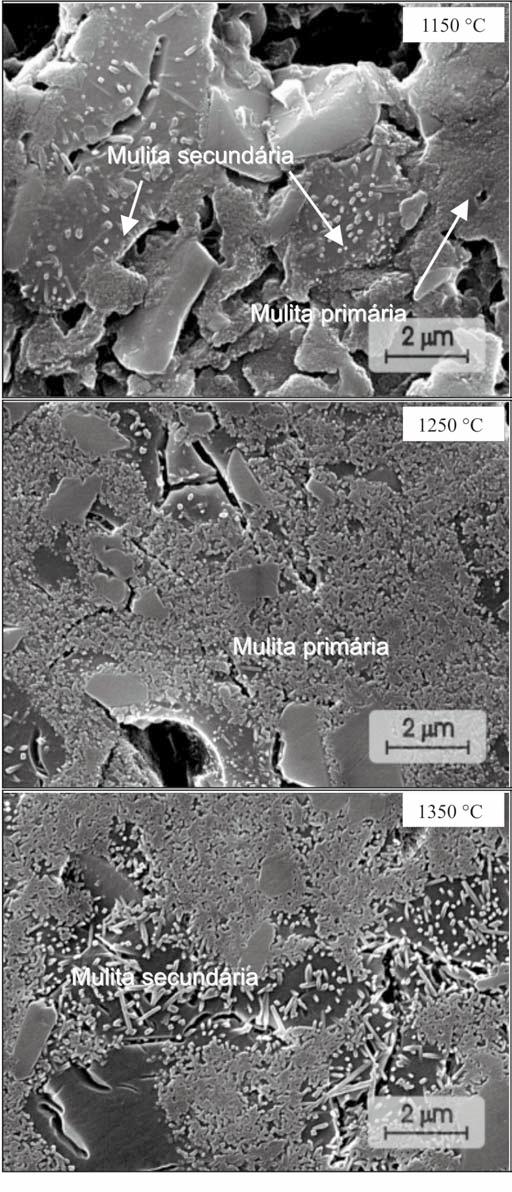 176 A. L. Chinelatto et al. / Cerâmica 50 (2004) 172-184 Figura 8: Micrografias obtidas por MEV da composição F sinterizada a: 1100 C, 1150 C, 1350 C e 1400 C.