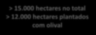 000 hectares plantados com olival Em 2015, o nosso objectivo de plantar 10.