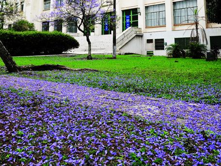 Centro Tecnológico do Ambiente