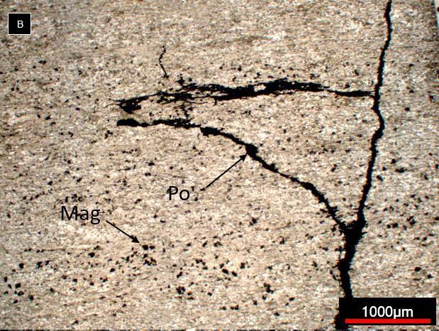 A) FSF006 207,44m rocha metaígnea de granulação fina - tremolita alinhada de acordo com a foliação Sn e
