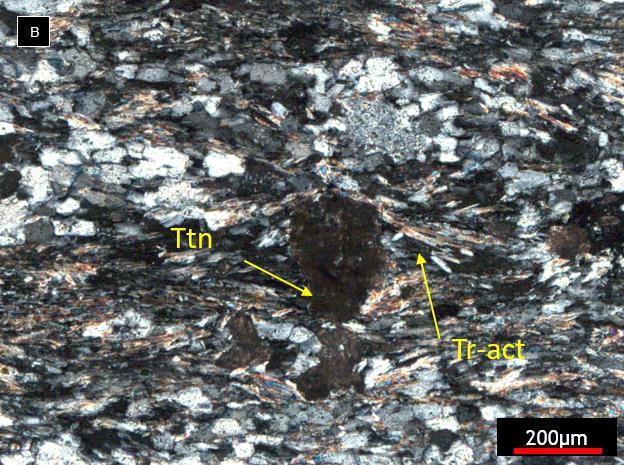 A) FSF005 199,13m muscovita-quartzo-xisto.