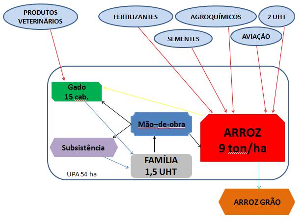 Figura II. Fluxograma da propriedade, Faxinal do Soturno - RS.