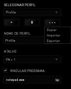 PERFIL Um Perfil é uma maneira conveniente de organizar todas as suas configurações personalizadas e você pode ter um número infinito de perfis à disposição.