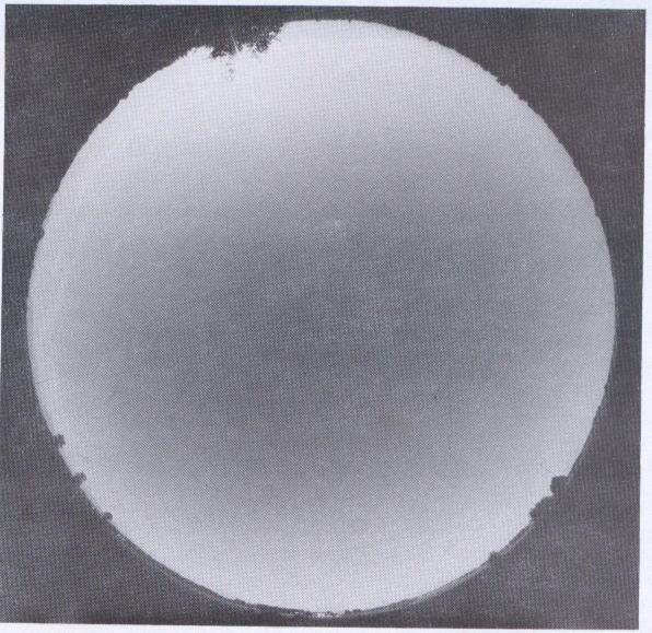 Círculo que expressa a visão do céu acima de um ponto sobre a superfície, obtida com câmara voltada para o céu,