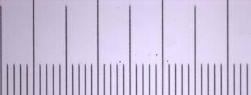 Material e Métodos 99 O sistema foi calibrado através da lâmina micrométrica Objecktmikrometer (Carl Zeiss Jena, Alemanha) que apresenta