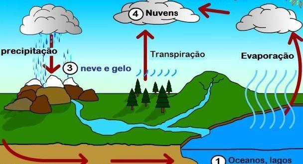 O esquema da imagem está se referindo ao ciclo: a) da água. b) da fotossíntese. c) do clima. d) do meio ambiente. 4.