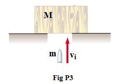 (a) Descreva como você encontraria a velocidade inicial da bala. (b) Encontre uma expressão apara a velocidade inicial da bala. P.